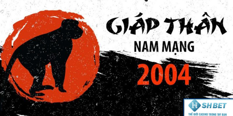 2K4 thuộc mạng gì?