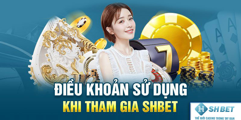 Điều Khoản Và Điều Kiện cam kết thông tin cung cấp chính xác